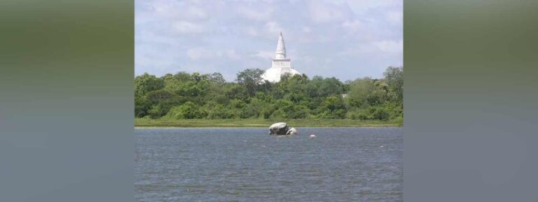 බසවක්කුලම වැව් බැම්ම ප්‍රතිසංස්කරණය අත් හිටුවයි…