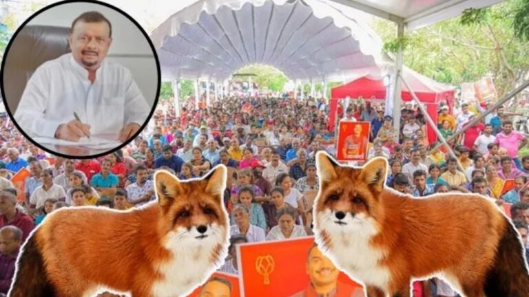 බදුල්ලෙ නරියයි අම්පාරේ නරියයි කඩ පනහට ඇවිත් හූ කිව්වා.. නිකරුනේ අපිව අවුස්සගන්න එපා.! 