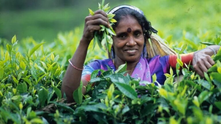 වැටුප් වැඩිකරන්න සමාගම් 7ක් එකඟ වෙයි.!
