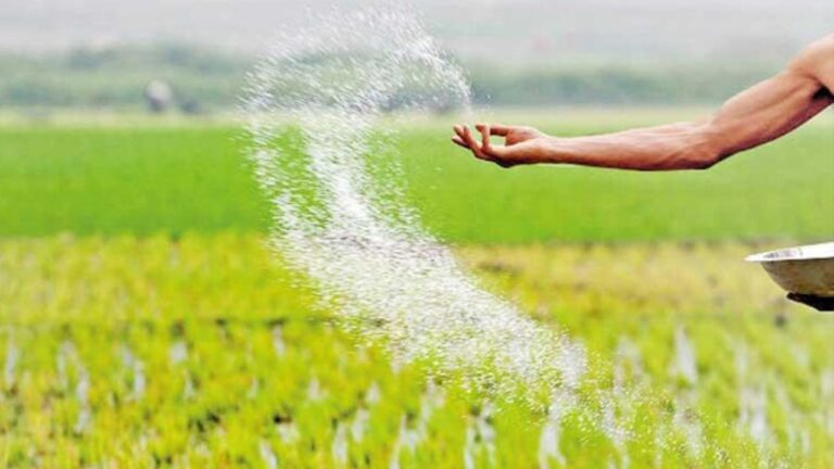 ලබන මහ කන්නයේ සිට පොහොර මිටියට සහනාධාරයක්?