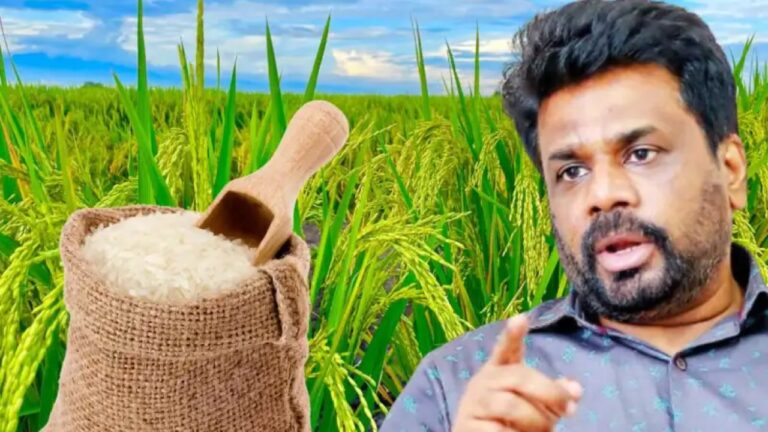 සහල් හිඟයේ ඇත්ත නැත්ත හෙළි වෙයි.. මෝල් හිමියන්ට රතු එළියක්.!