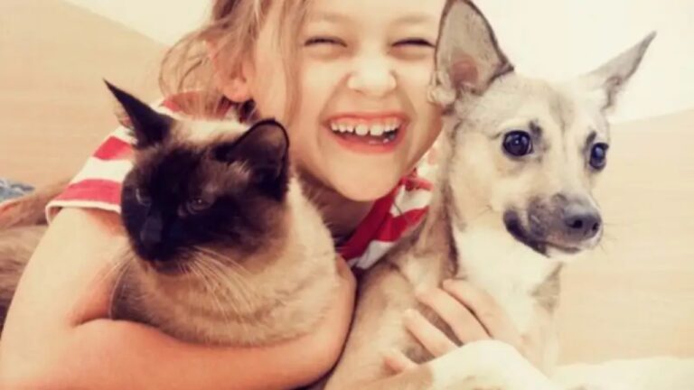 සුරතල් සතුන් නිසා දරුවන්ගේ ජීවිතය අනතුරේ.!