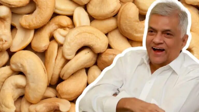 රනිල් යනු රට විකුණා කජු කෑ ජනපතිවරයෙක්.!