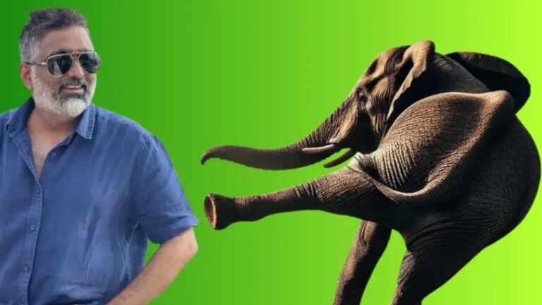 ආශුට අලියා පයින් ගහලා.!