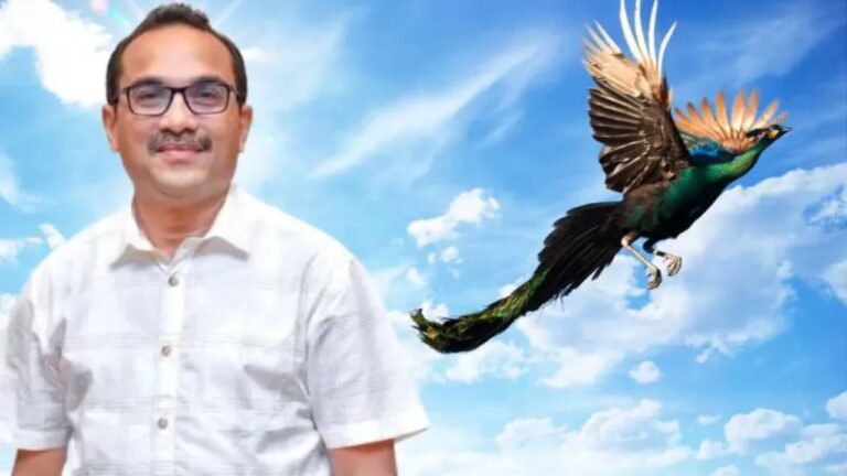 වසර 3ක් බිම තැබූ මොණරෙක් යළි පියාඹයි.. තවත් දෙකකට කඩිනමින් පියාපත්.!