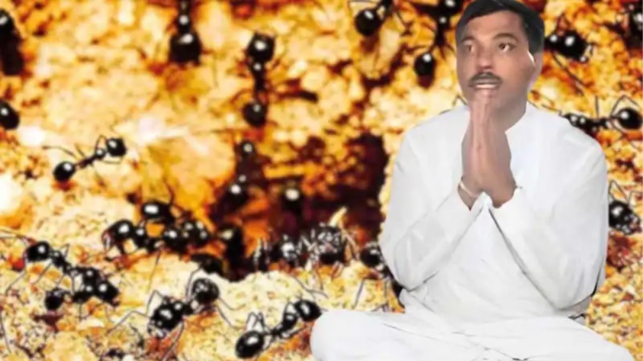 හැංගිලා ඉන්න ප්‍රසන්න කූඹි ගුලෙන් එළියට.!