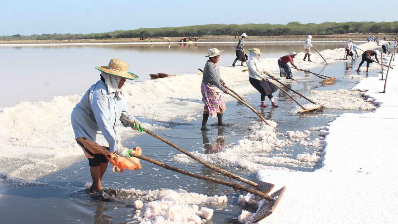 පහුගිය මාස 04ට ලංකාවේ ලුනු කැටයක්වත් නිපදවා නැහැ…! – ලුනු…