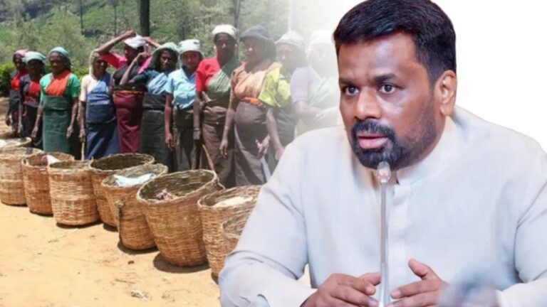 ඉතිහාසය පුරා නොකෙරෙන වෙදකමට ජනපතිම මැදිහත් වෙයි