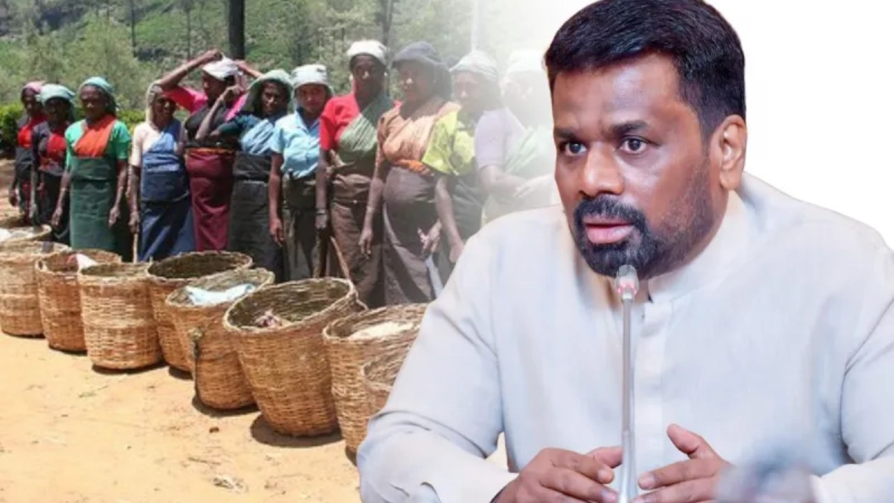 ඉතිහාසය පුරා නොකෙරෙන වෙදකමට ජනපතිම මැදිහත් වෙයි